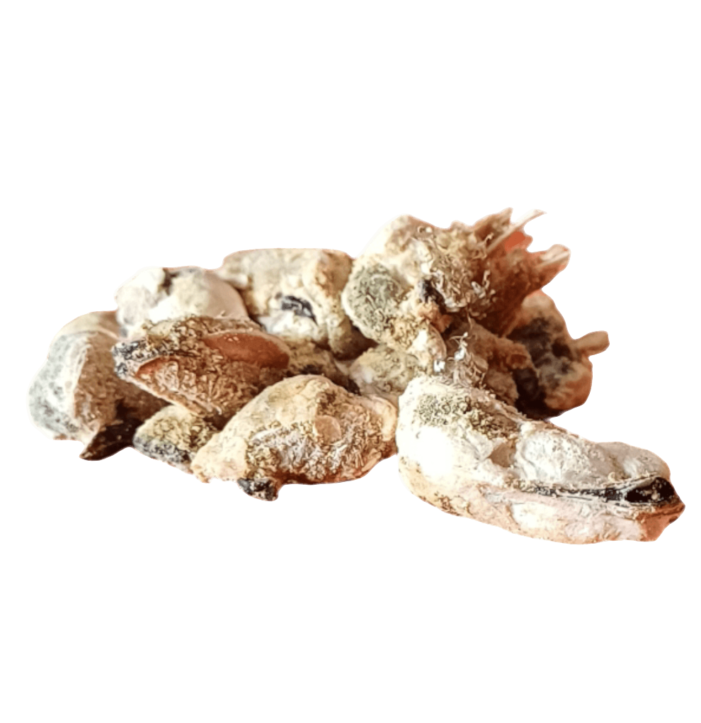 Freeze Dried Green Lipped Mussels