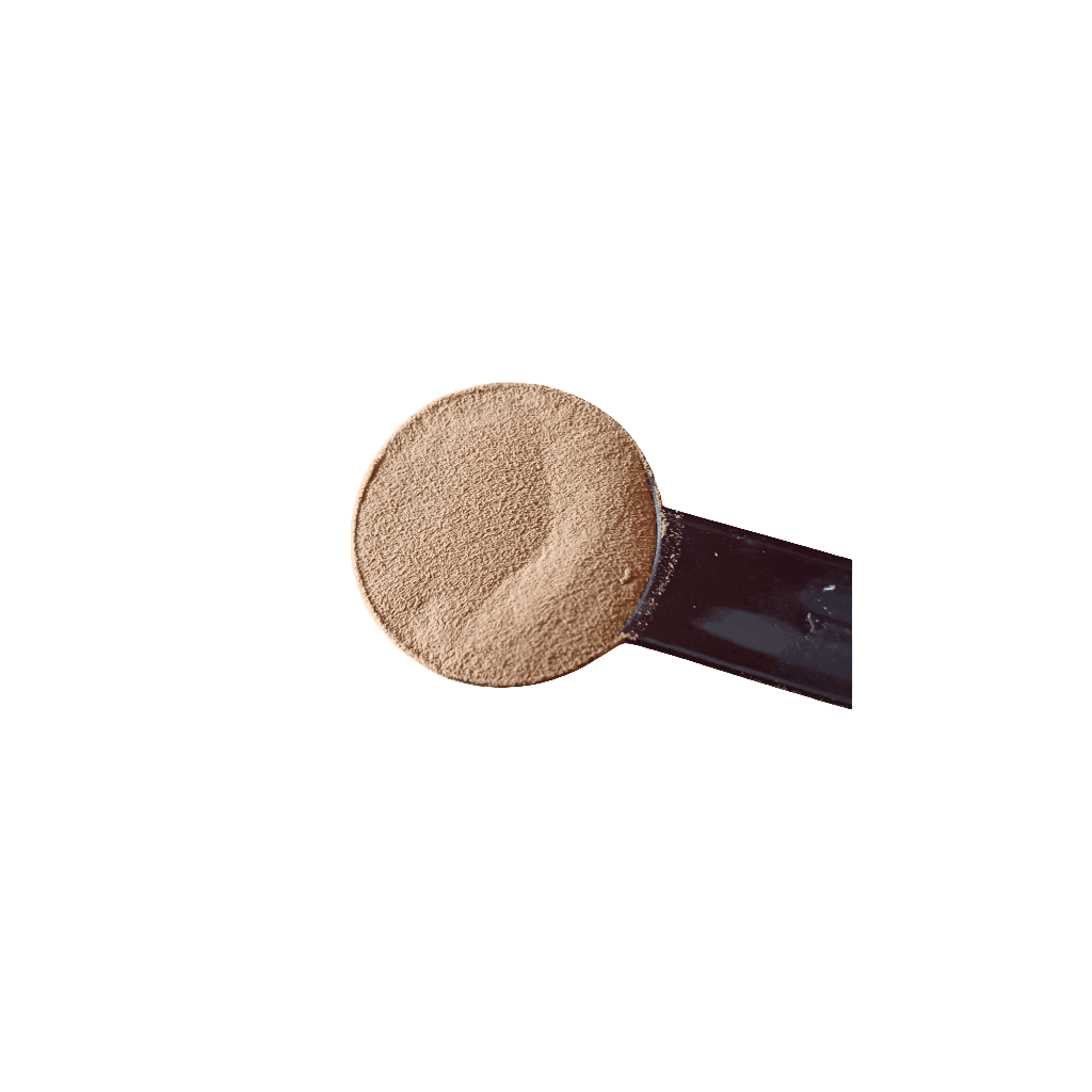 Close-up of Liver Powder for Cats - Boost Nutrition on a measuring spoon, highlighting its smooth consistency and nutrient-rich formula.