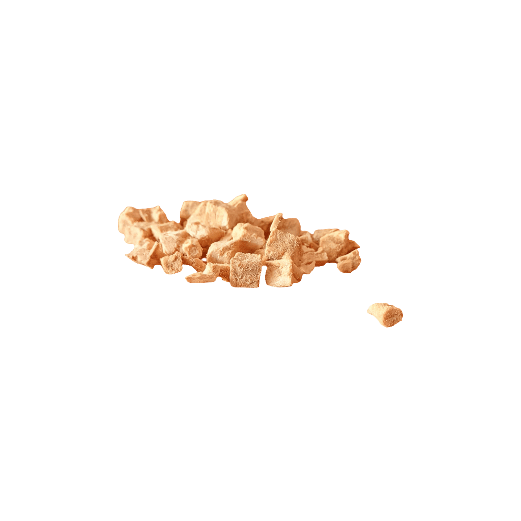 Freeze Dried Salmon Cubes