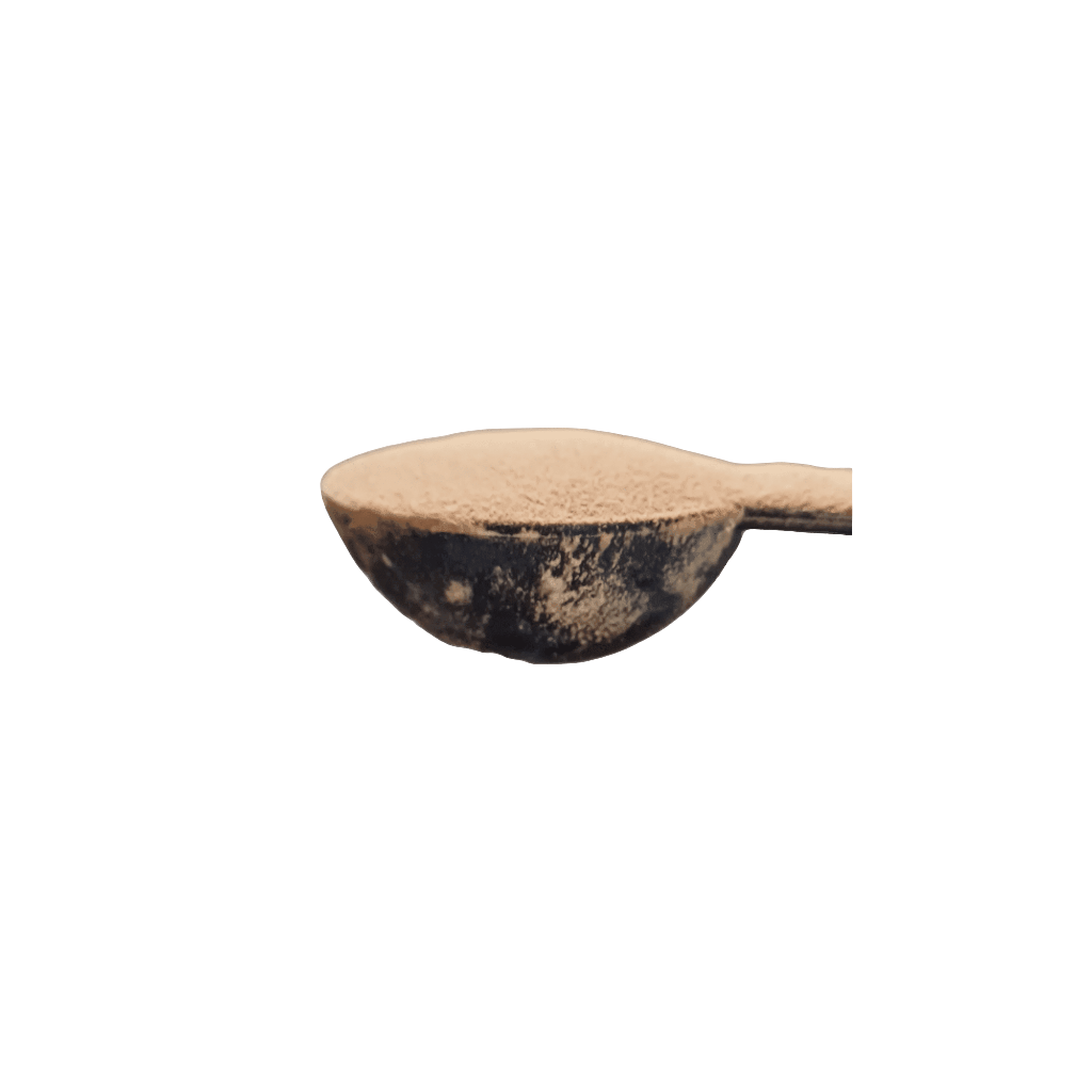 Spoonful of Liver Powder for Cats - Boost Nutrition, showcasing fine texture perfect for sprinkling on pet food as a healthy supplement.