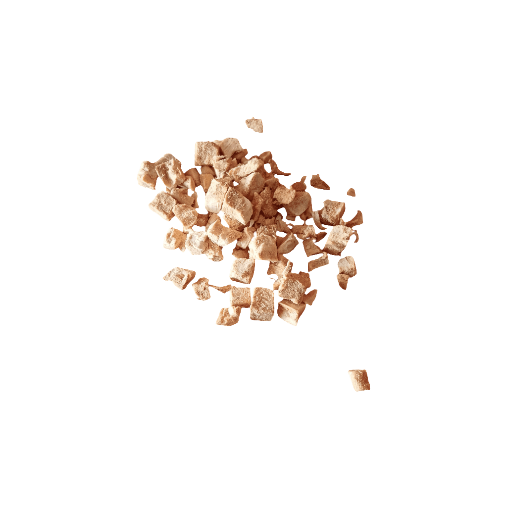 Freeze Dried Salmon Cubes