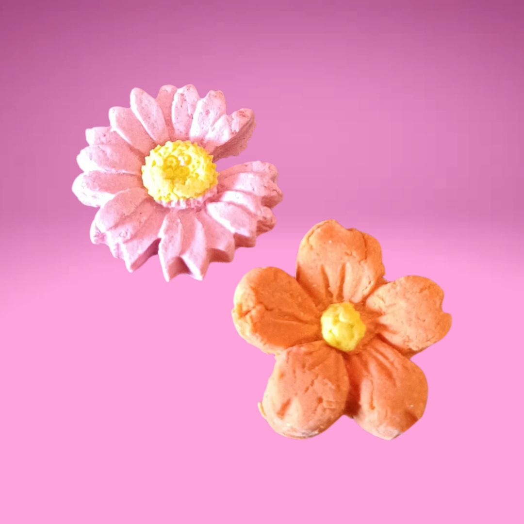Colourful Flowers