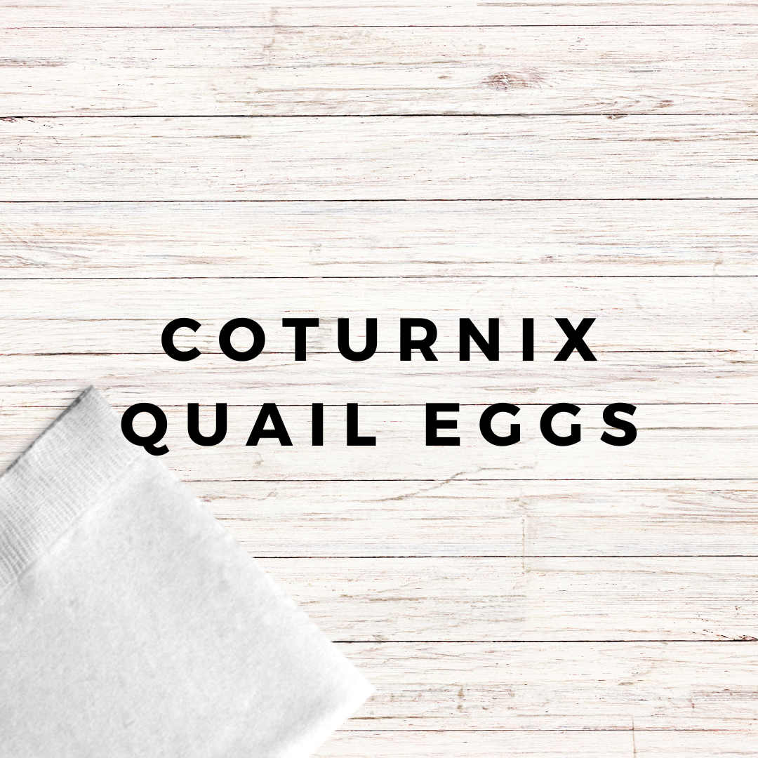 Coturnix Quail Eggs