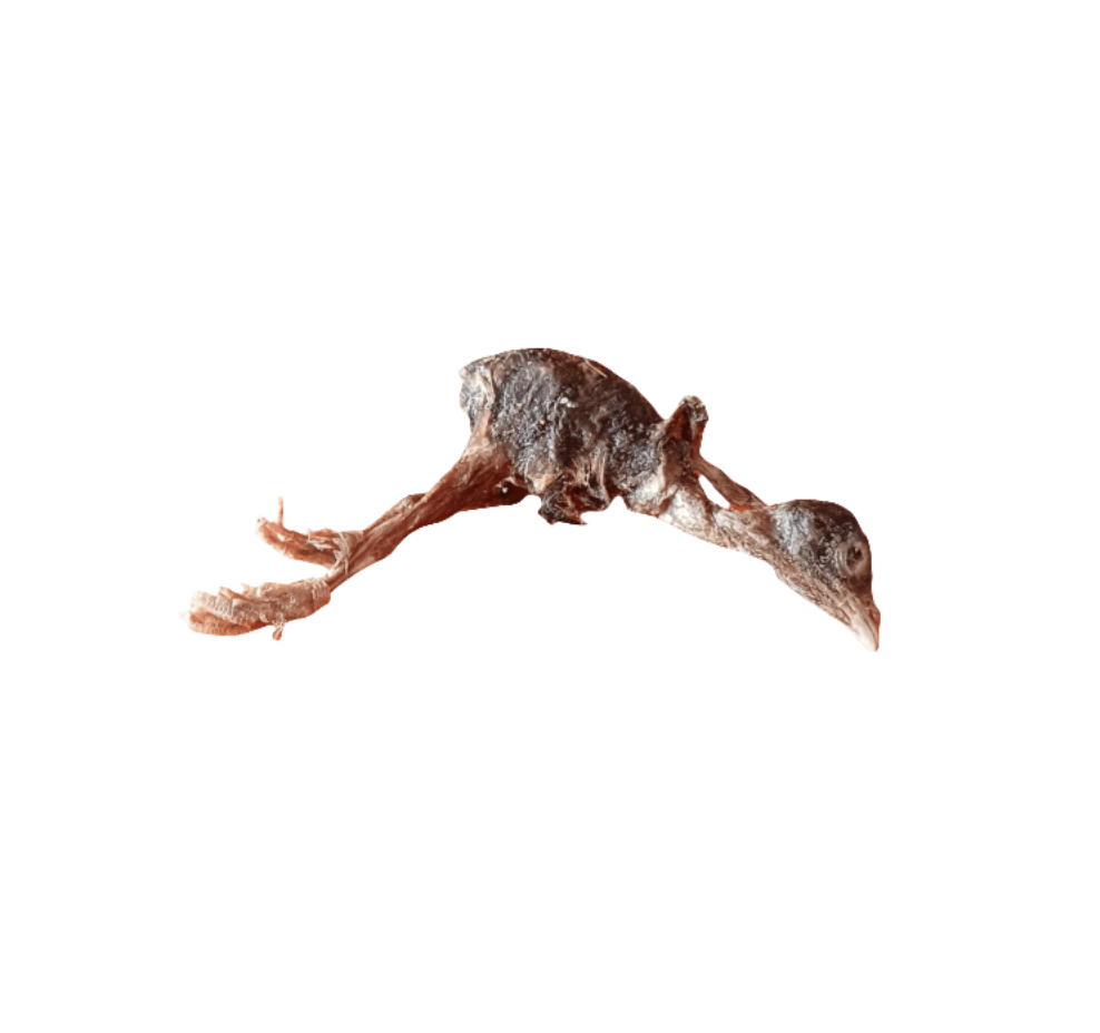 Freeze Dried Whole Quail