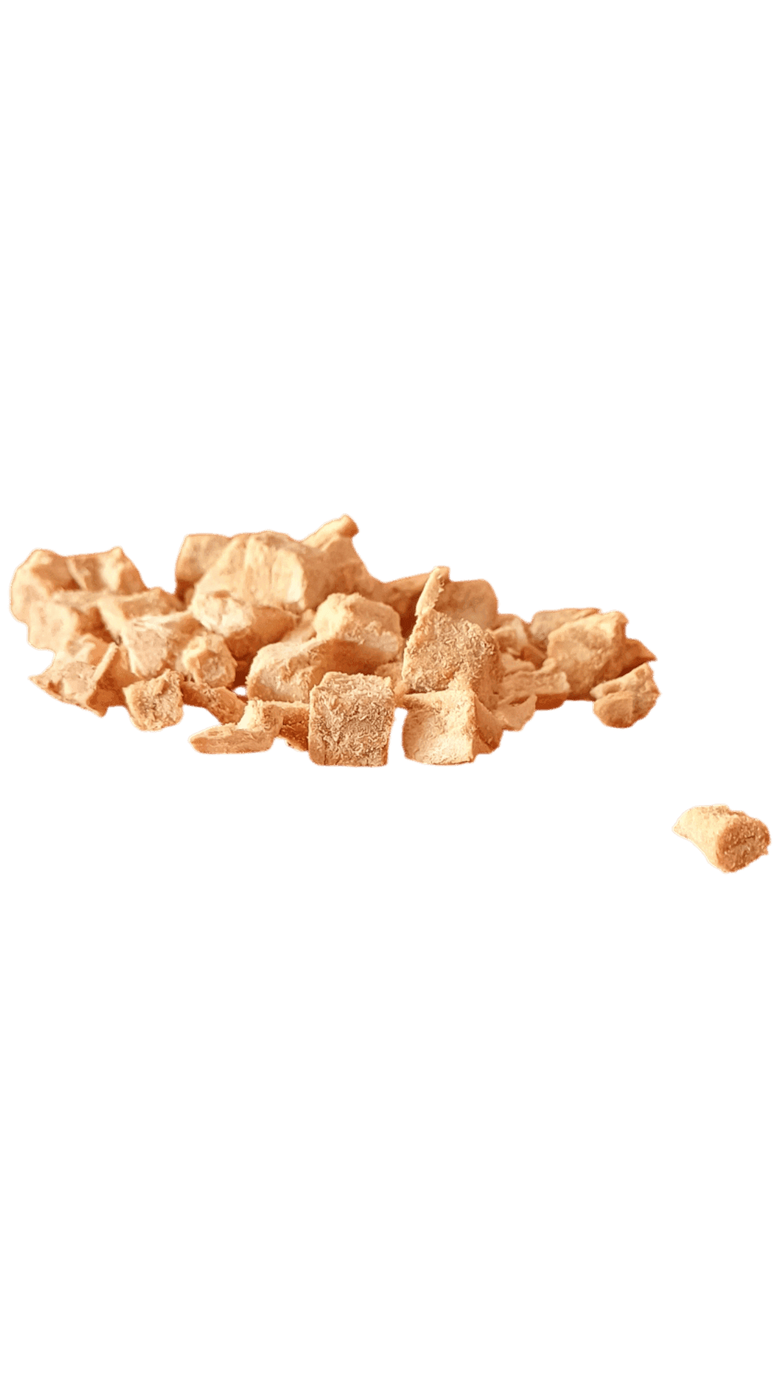 Freeze Dried Salmon Cubes | Carni-Cravings