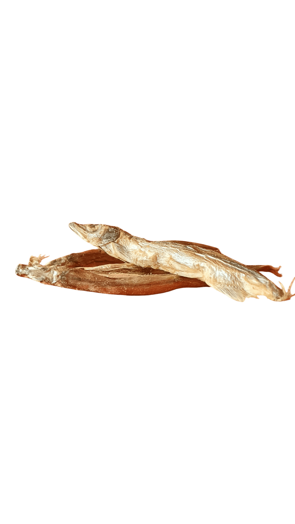 Freeze Dried Sprats | Carni-Cravings