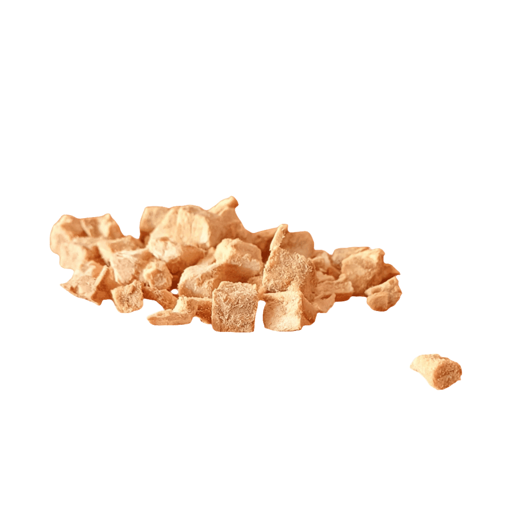 Freeze Dried Salmon Cubes
