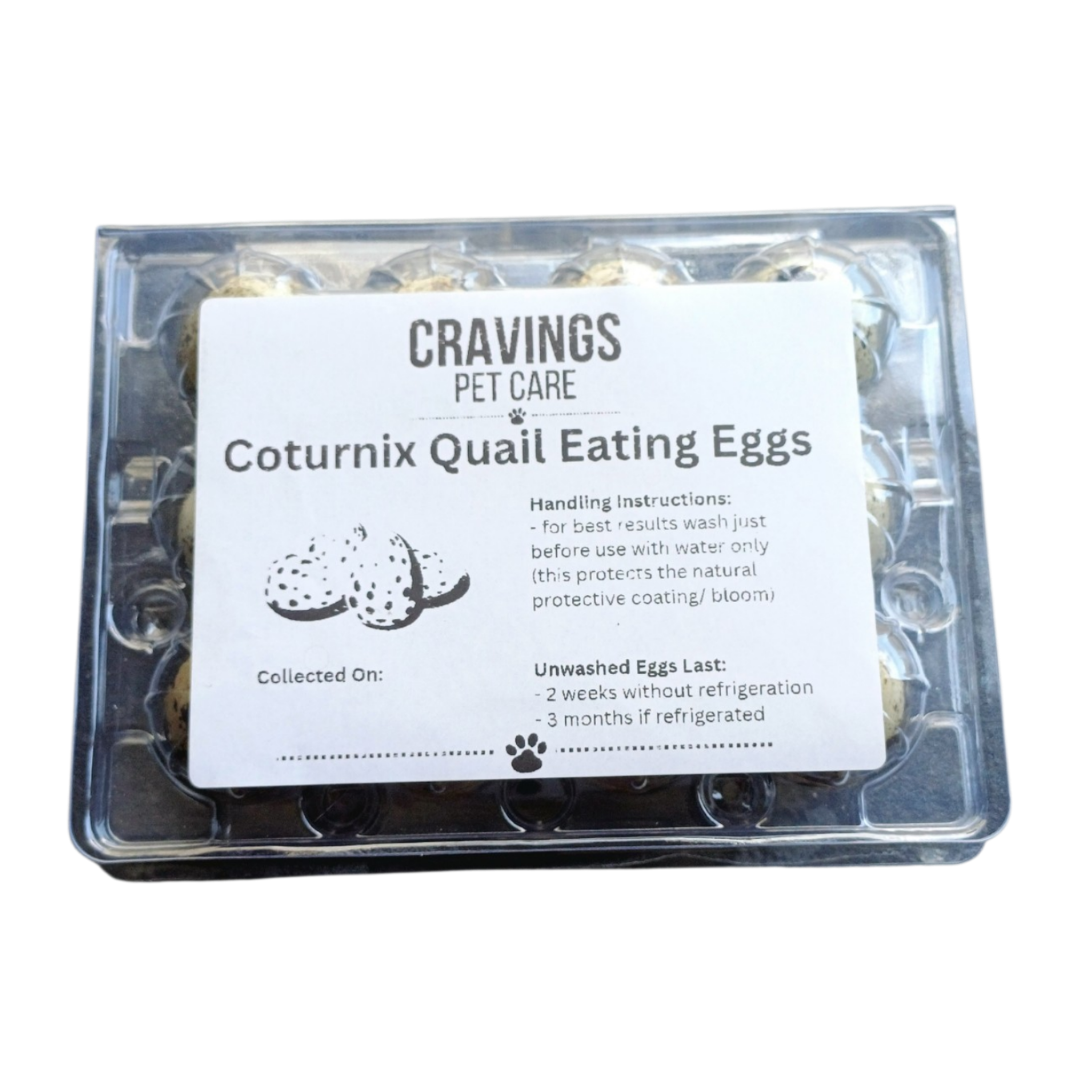 Coturnix Quail Fresh Eggs Food Topper - Cravings Pet Care