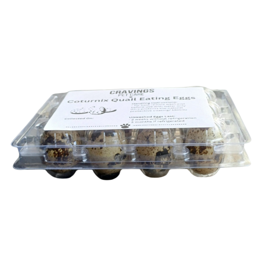 Coturnix Quail Fresh Eggs Food Topper - Cravings Pet Care