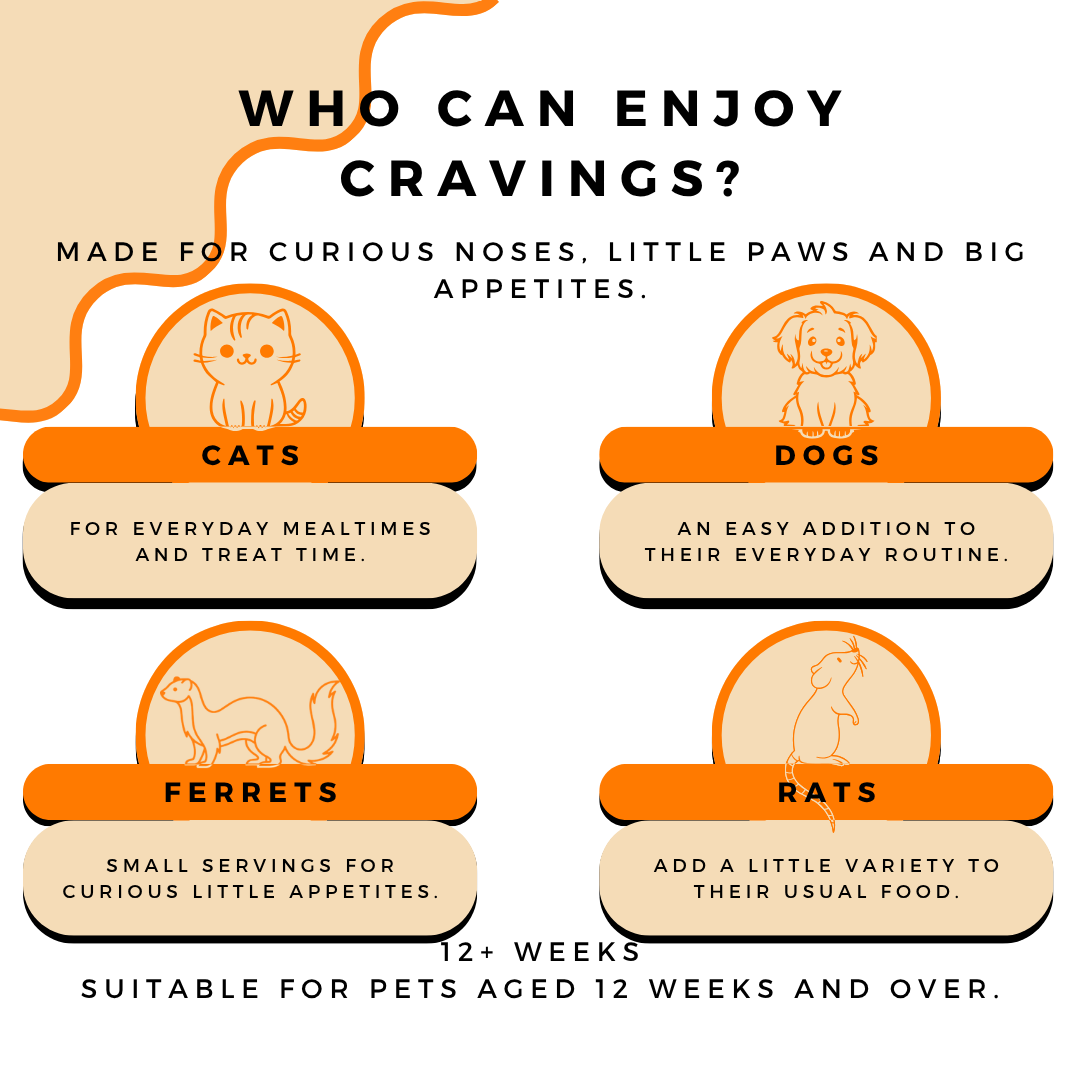 Cravings Pet Care Seafood Bundle | Freeze-Dried Food Toppers & Treats for Cats & Dogs | 600g - Cravings Pet Care