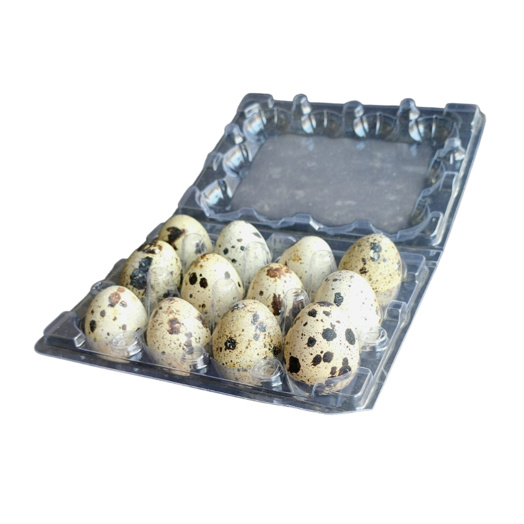 Coturnix Quail Fresh Eggs Food Topper