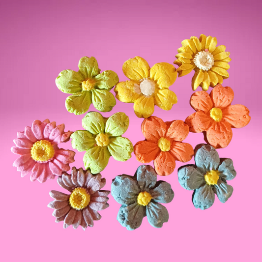 Colourful Flowers